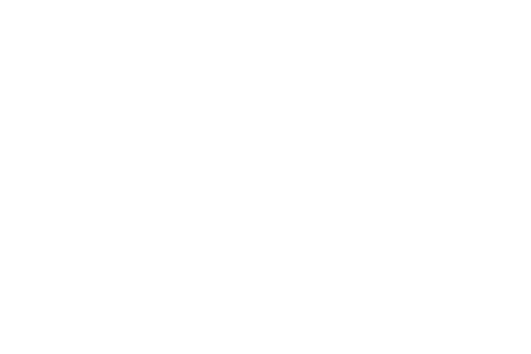 NZ Honey - Free Shipping