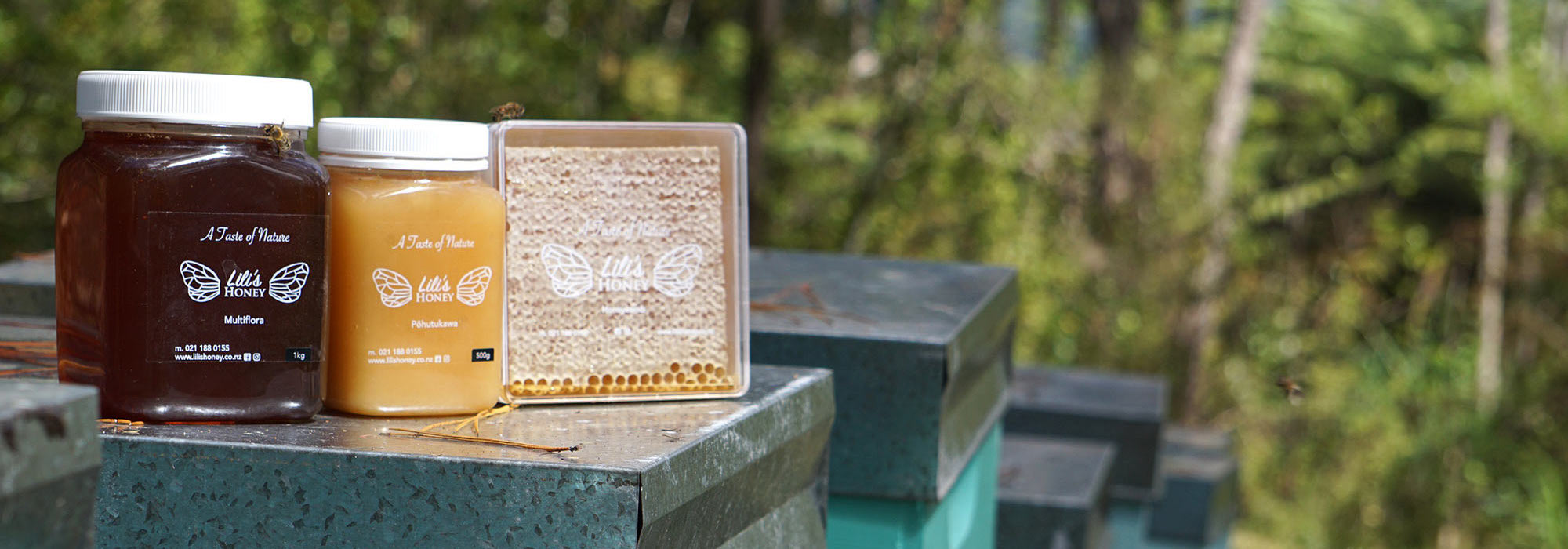 New Zealand Honey and Honeycomb